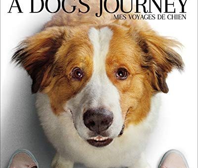 A DOG S JOURNEY  - BLU-INC. DVD COPY Sale